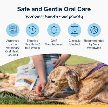 ProDen PlaqueOff System Dental Care Bones for Dogs - Dog Breath Freshener & Plaque Remover - Dog Teeth Cleaning for a Healthy Mouth - Turkey Cranberry Flavor - 17 oz