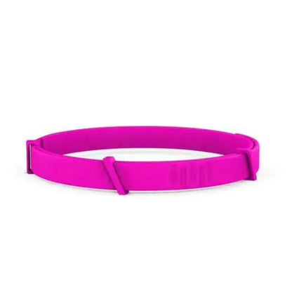 Pro Guard Flea and Tick Pet Collar