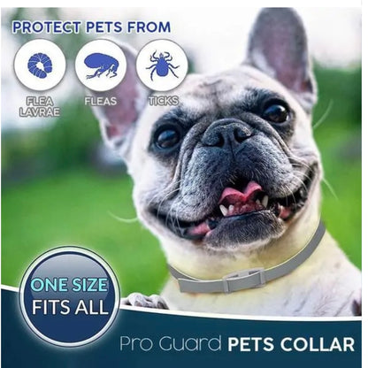 Pro Guard Flea and Tick Pet Collar